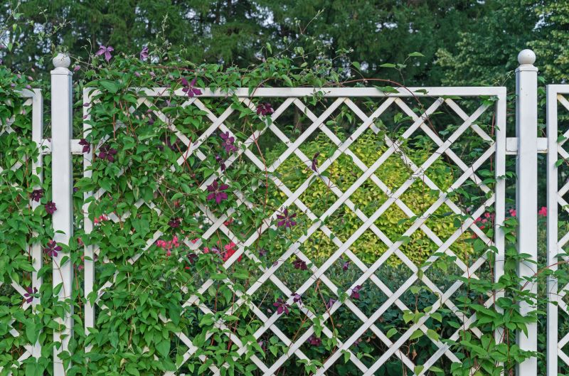 Fence Trellis Installation in Kansas City, KS
