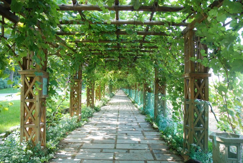 Fence Trellis Installation in Kansas City, KS